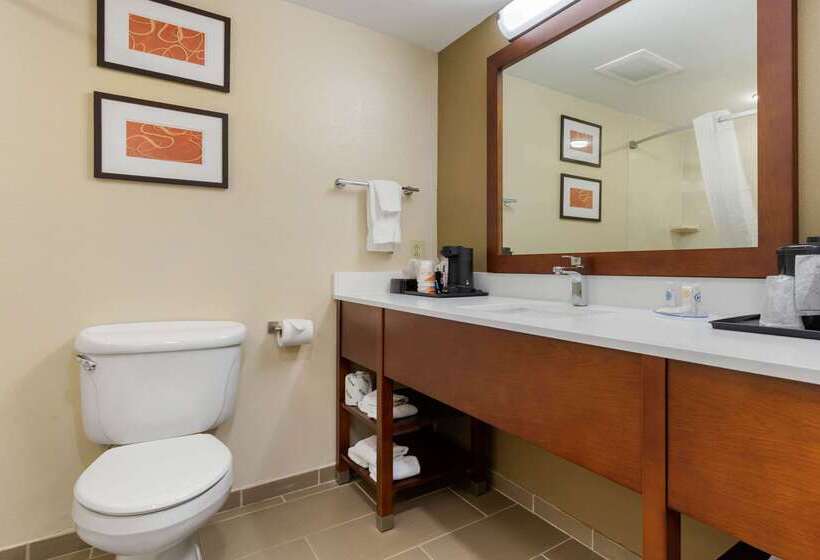 ホテル Comfort Inn & Suites