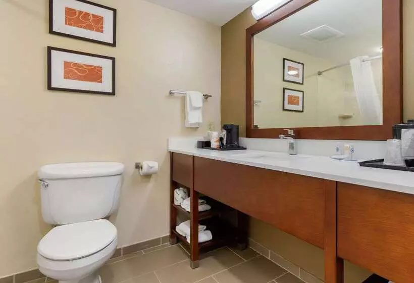 ホテル Comfort Inn & Suites