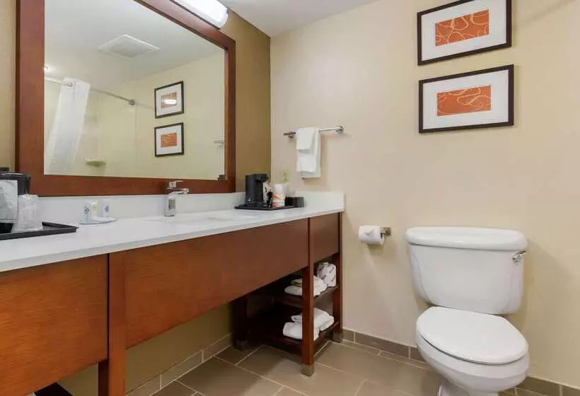 ホテル Comfort Inn & Suites