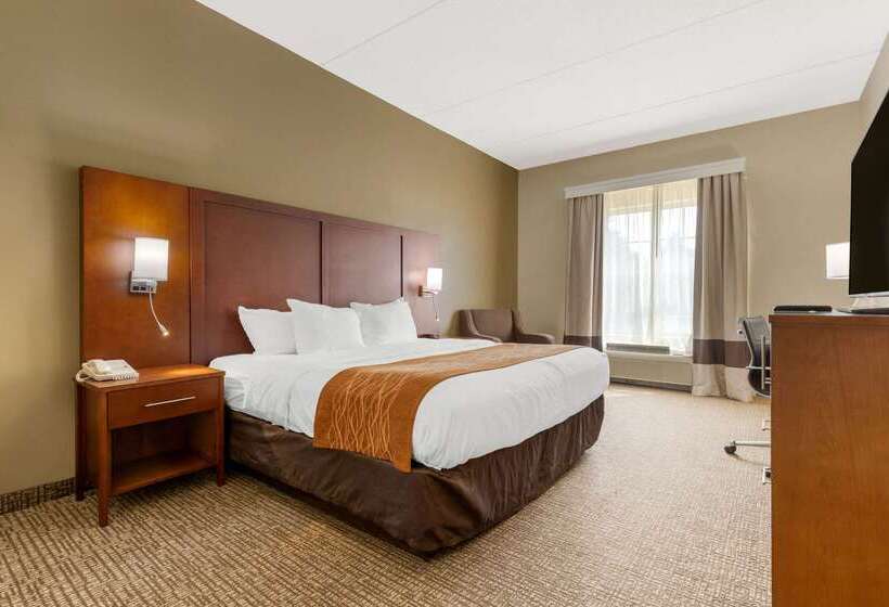 ホテル Comfort Inn & Suites