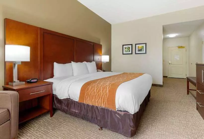 ホテル Comfort Inn & Suites