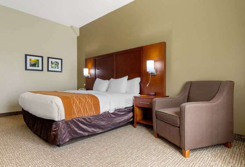 ホテル Comfort Inn & Suites