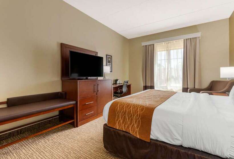 ホテル Comfort Inn & Suites