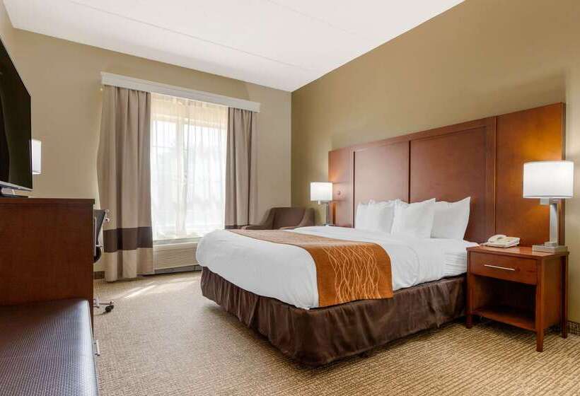 ホテル Comfort Inn & Suites