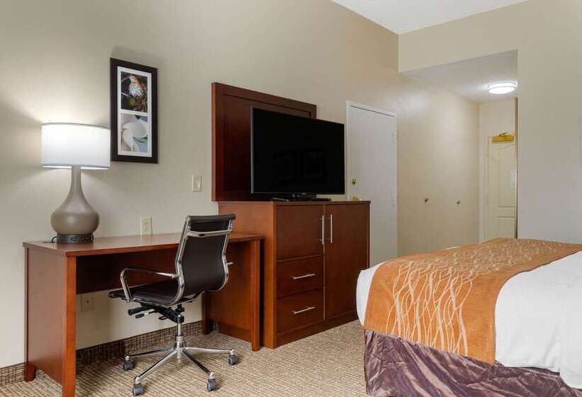 ホテル Comfort Inn & Suites
