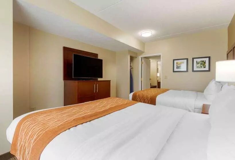 ホテル Comfort Inn & Suites