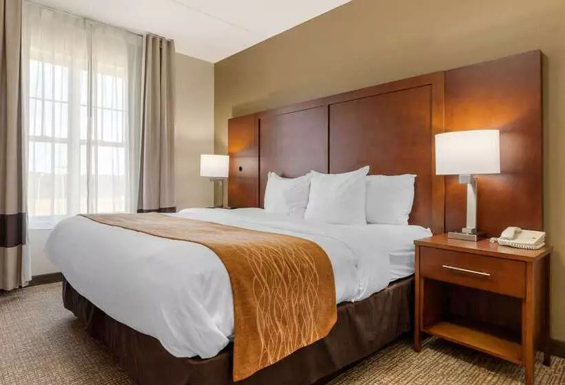 ホテル Comfort Inn & Suites