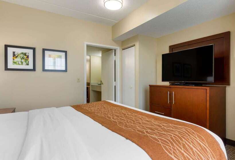 ホテル Comfort Inn & Suites