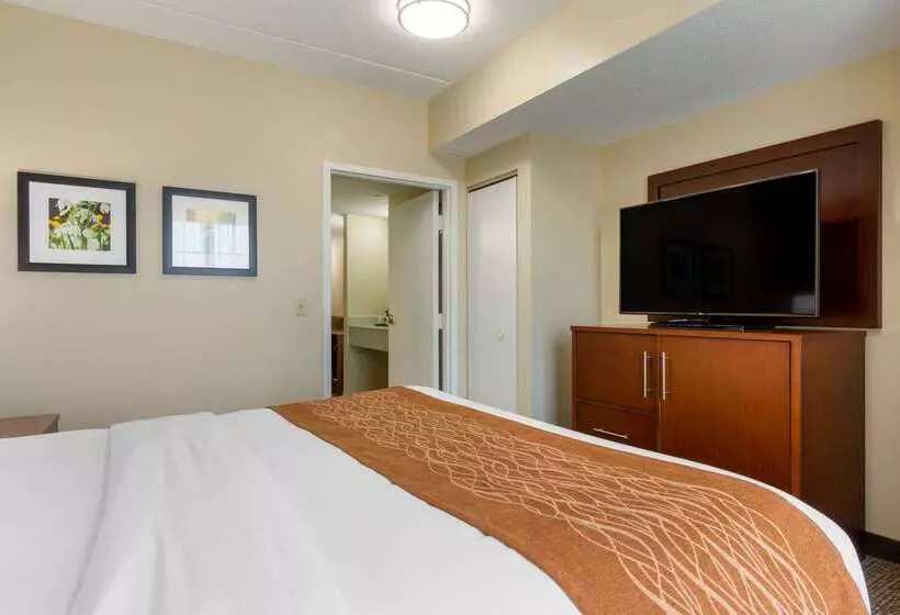 ホテル Comfort Inn & Suites
