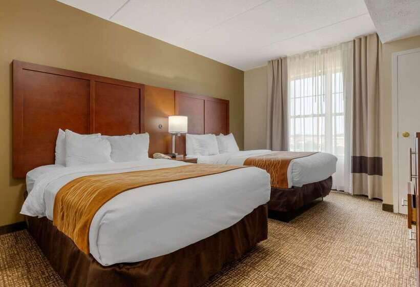 ホテル Comfort Inn & Suites