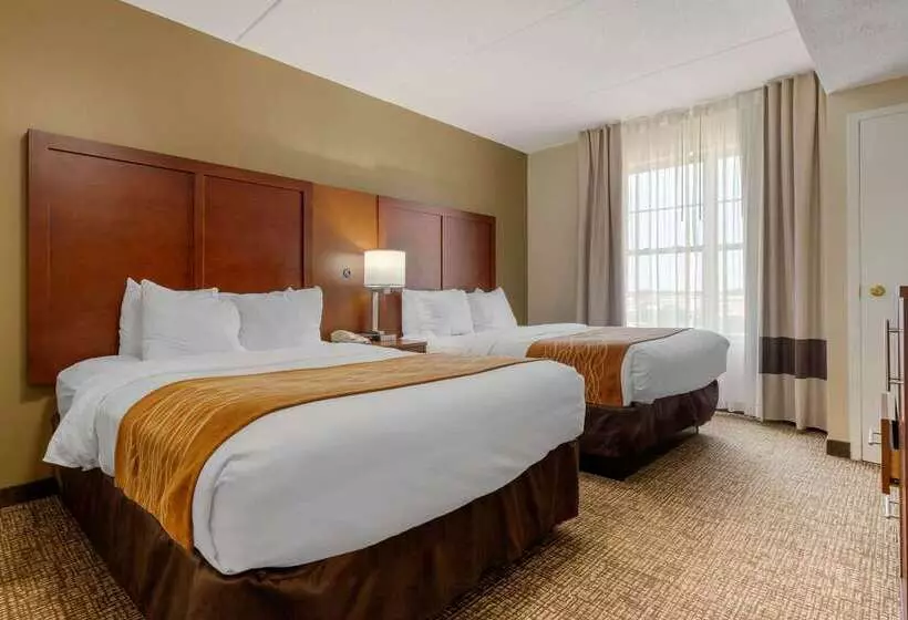 ホテル Comfort Inn & Suites