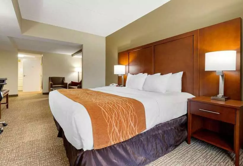 ホテル Comfort Inn & Suites