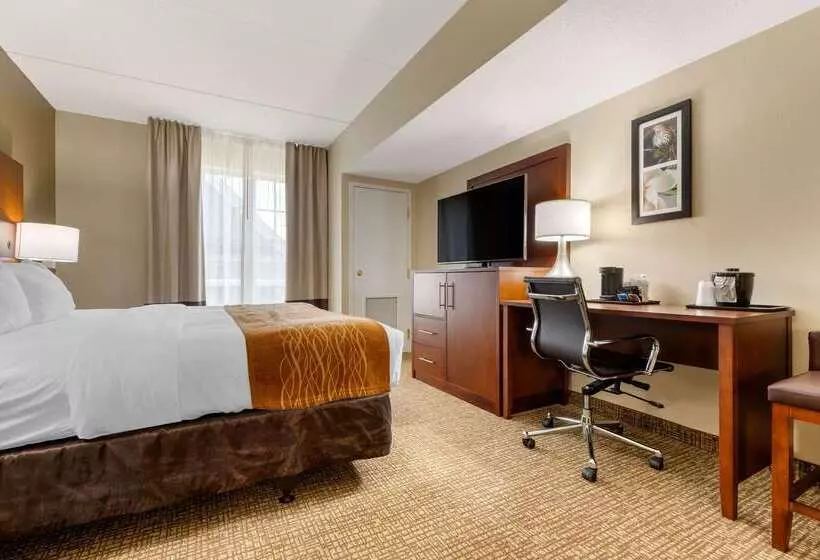 ホテル Comfort Inn & Suites