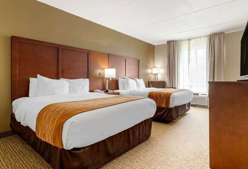 ホテル Comfort Inn & Suites