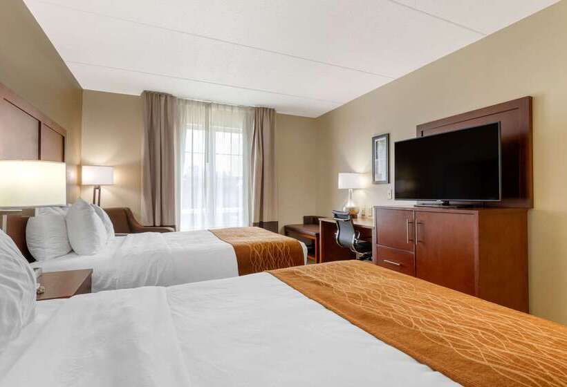 ホテル Comfort Inn & Suites