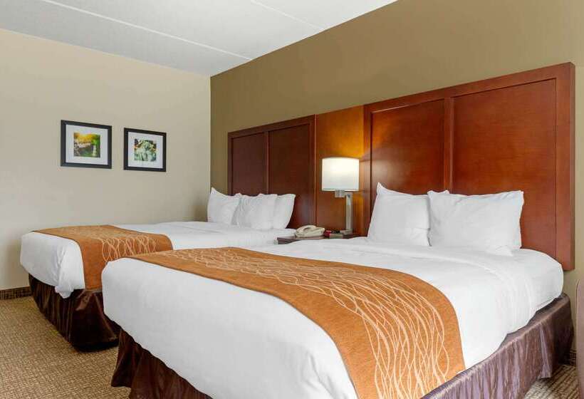 ホテル Comfort Inn & Suites