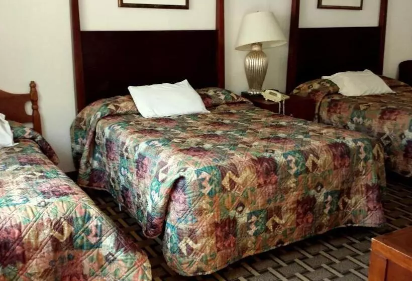 酒店 Executive Inn & Suites