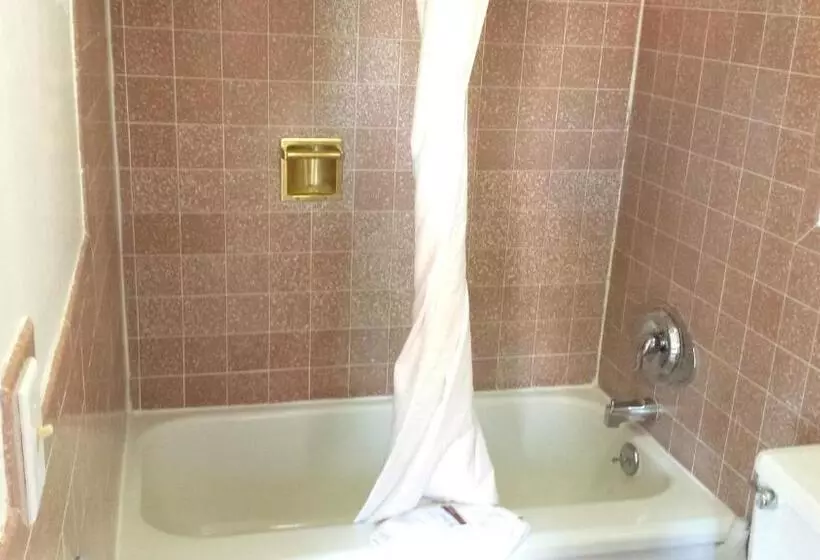 酒店 Executive Inn & Suites