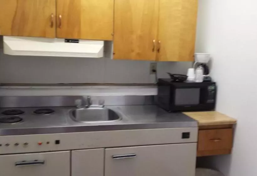 酒店 Executive Inn & Suites