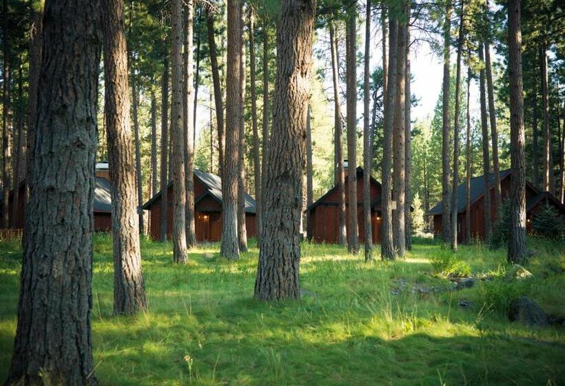 酒店 Fivepine Lodge