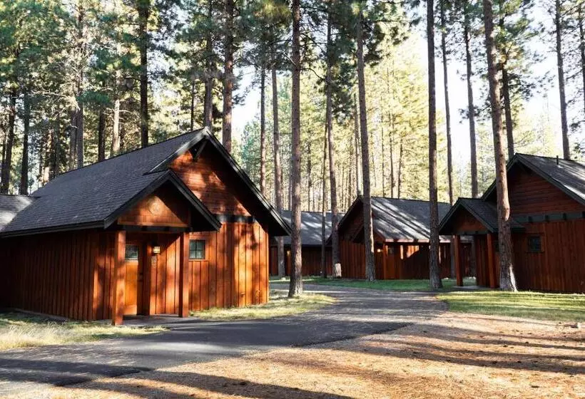 בית מלון כפרי Fivepine Lodge