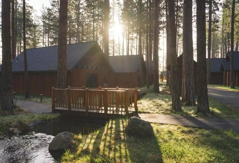 בית מלון כפרי Fivepine Lodge