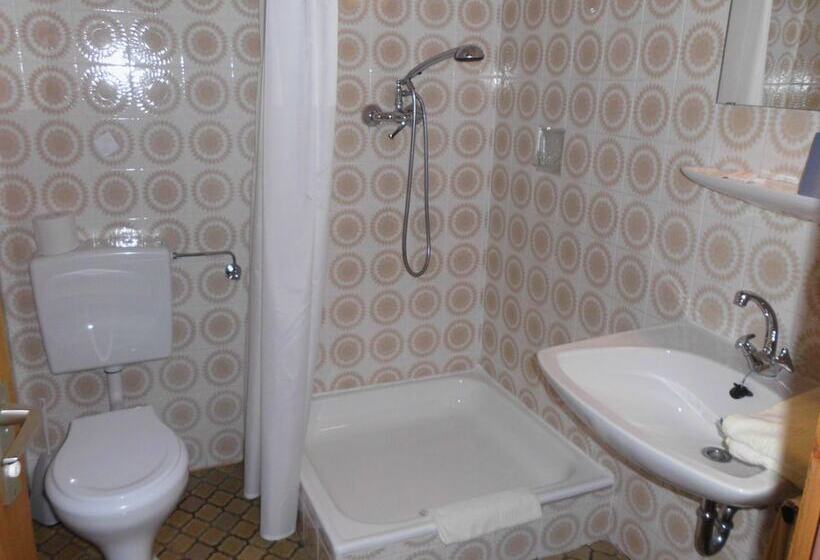 酒店 Gasthaus Finken