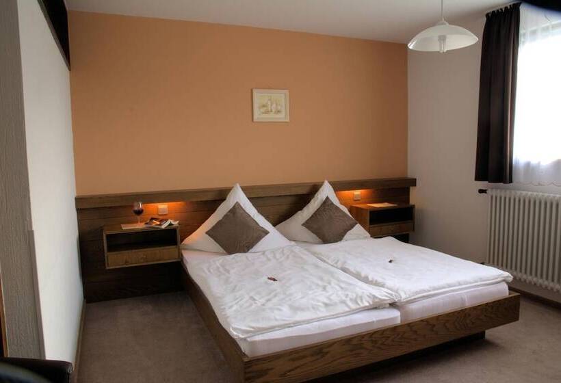 酒店 Gasthaus Finken