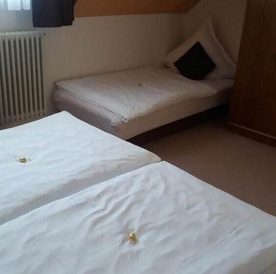 酒店 Gasthaus Finken