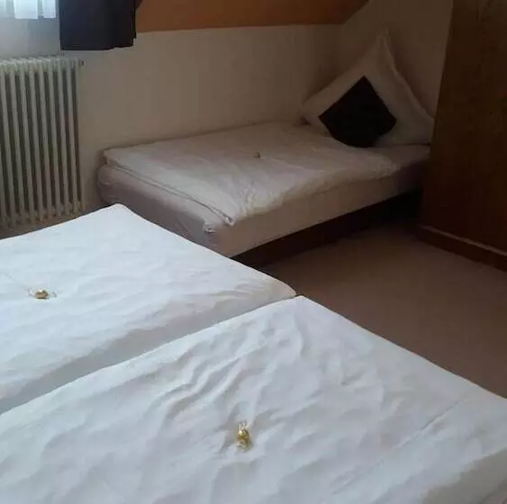 호텔 Gasthaus Finken