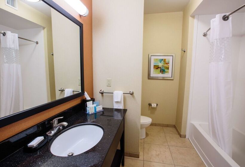 酒店 Hampton Inn & Suites Effingham