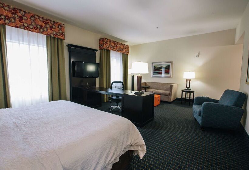 酒店 Hampton Inn & Suites Effingham