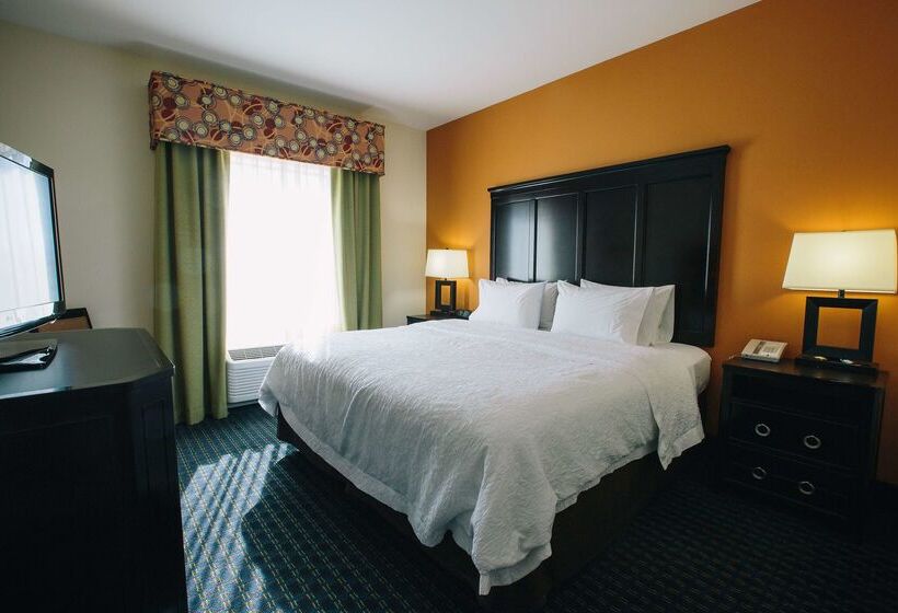 酒店 Hampton Inn & Suites Effingham