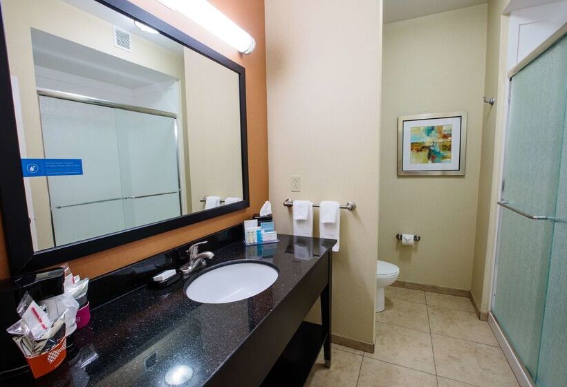 酒店 Hampton Inn & Suites Effingham