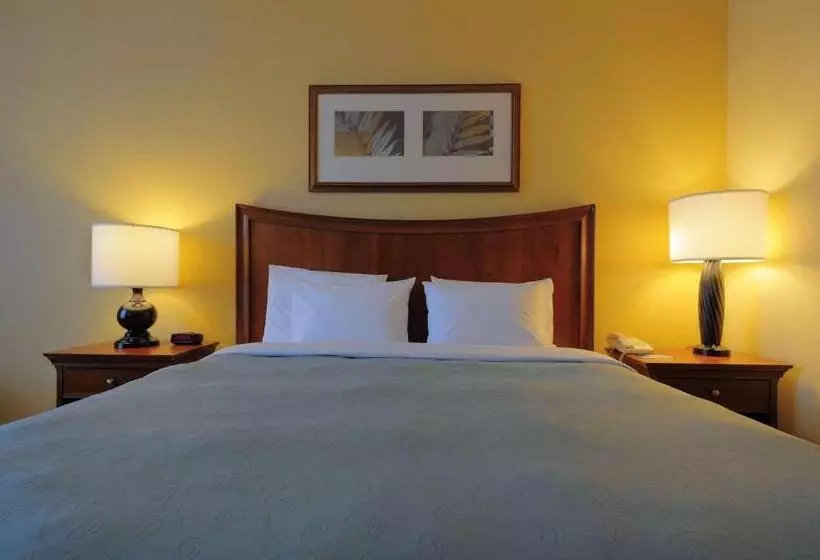 酒店 Inn At Orangeburg