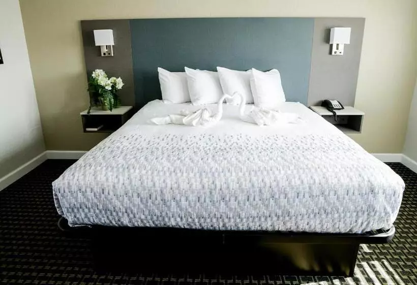 ホテル Sea Breeze Inn San Simeon