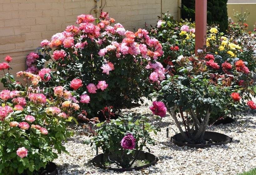 هتل Seaside Inn Monterey