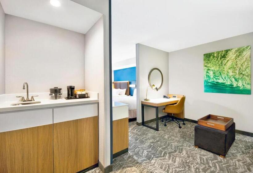 酒店 Springhill Suites Erie