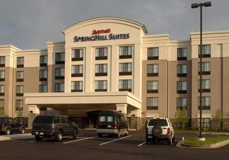 ホテル Springhill Suites By Marriott Wheeling Triadelphia Area