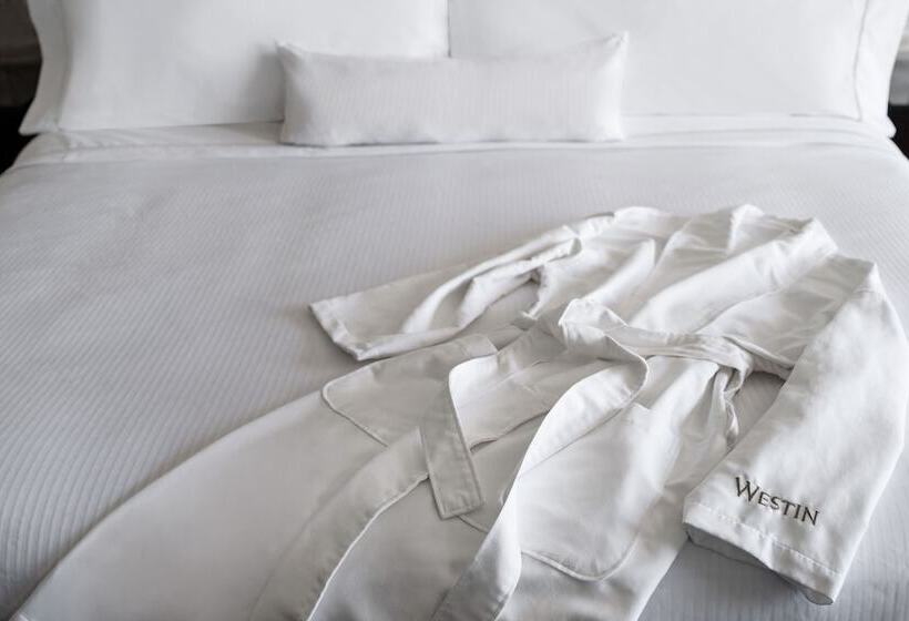 فندق The Westin Baltimore Washington Airport   Bwi