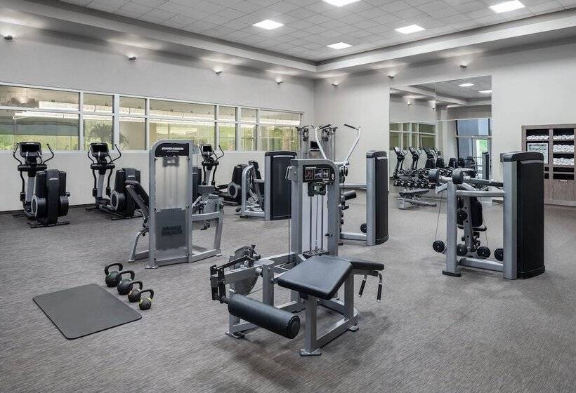 فندق The Westin Baltimore Washington Airport   Bwi