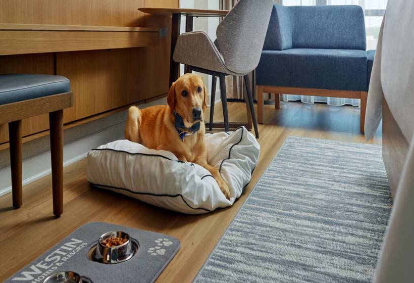 فندق The Westin Huntsville