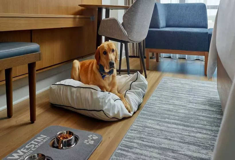 בית מלון כפרי The Westin Huntsville