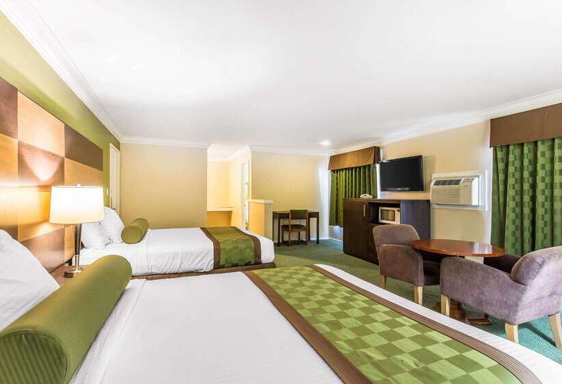 汽车旅馆  Rodeway Inn & Suites Canyon Lakemenifee West