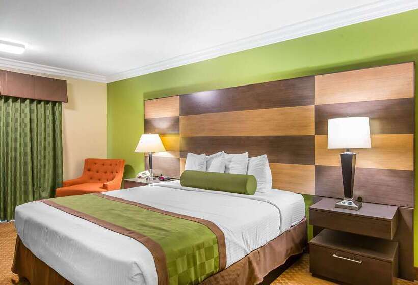 汽车旅馆  Rodeway Inn & Suites Canyon Lakemenifee West