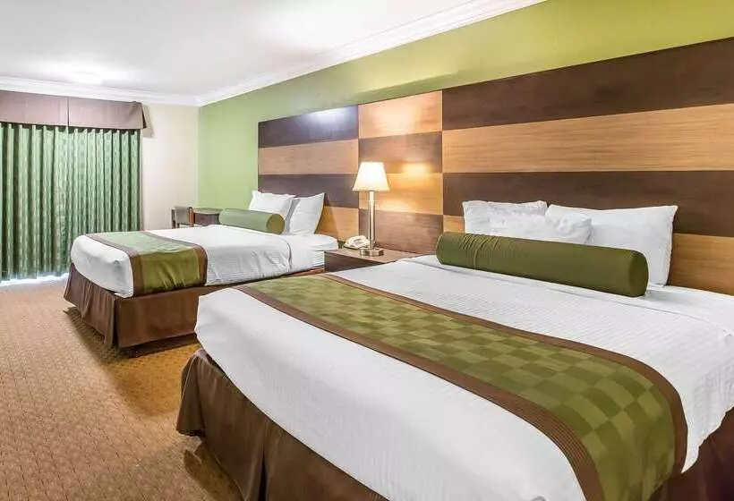 モーテル Rodeway Inn & Suites Canyon Lakemenifee West