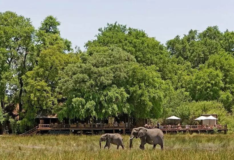 Hotelli Sanctuary Chief's Camp