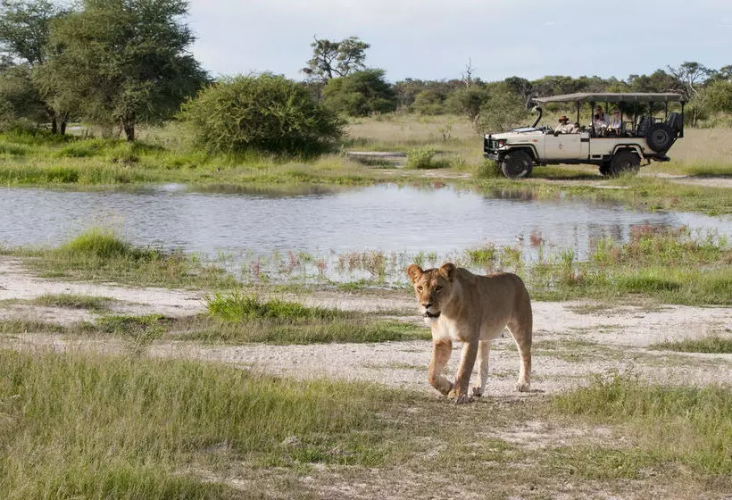 Hotelli Sanctuary Chief's Camp