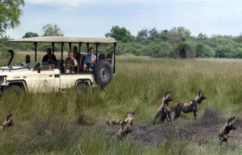 Hotelli Sanctuary Chief's Camp