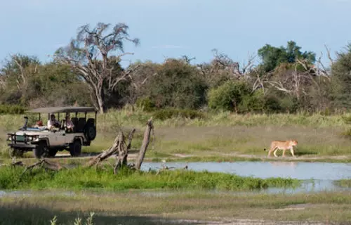 Hotelli Sanctuary Chief's Camp